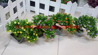 广州仿真植物盆景批发 家居装饰与礼品花卉的性价比之选